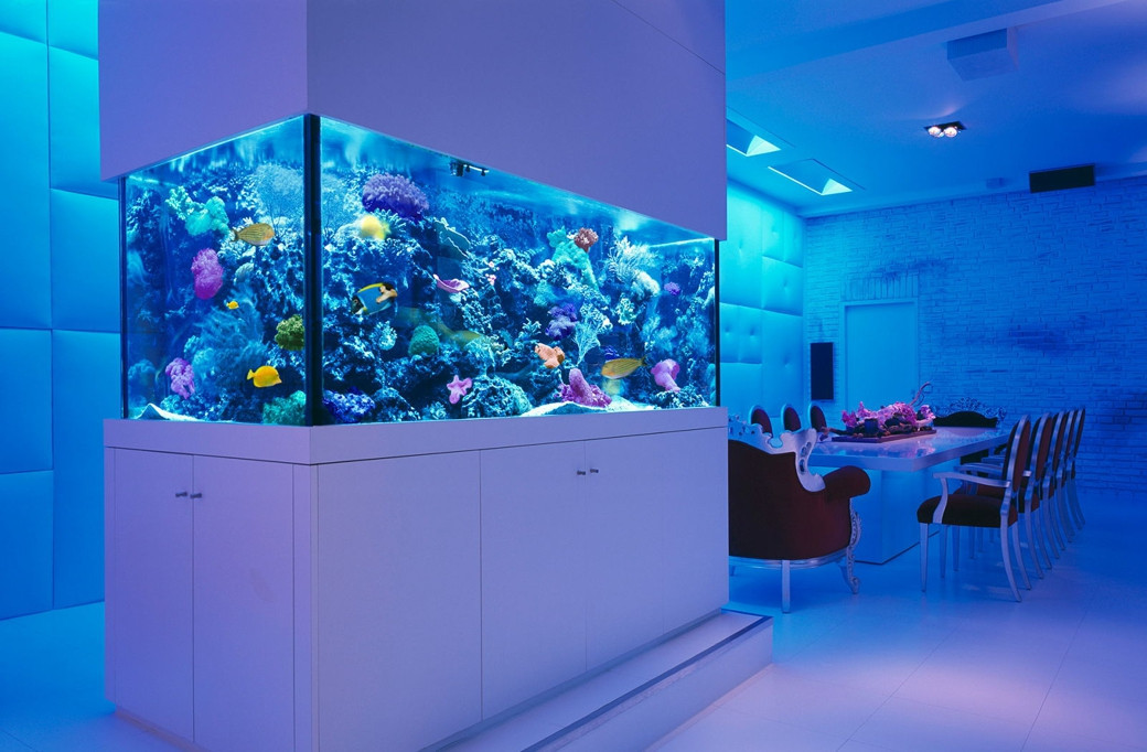 Weizter Kitchen with Aquarium