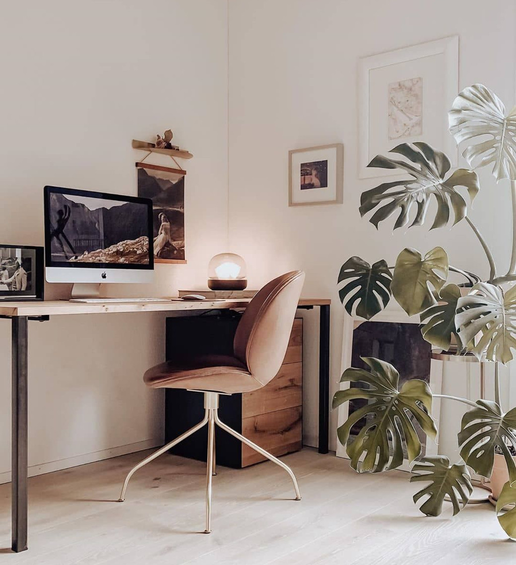 Minimalist home office with wooden desk, computer, brown chair, framed pictures, a lamp, and a large leafy plant.
